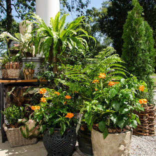 Kleiner, Halbschattiger Stilmix Kiesgarten im Herbst, neben dem Haus mit Kübelpflanzen in Richmond