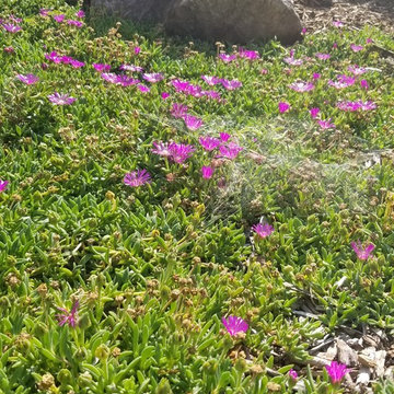 Troy Spiritual Garden
