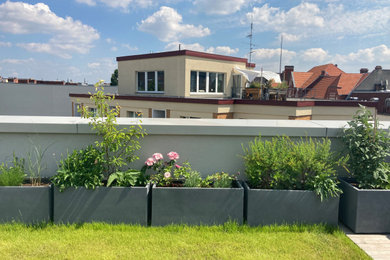 Moderner Dachgarten im Sommer mit Kübelpflanzen und direkter Sonneneinstrahlung in Berlin