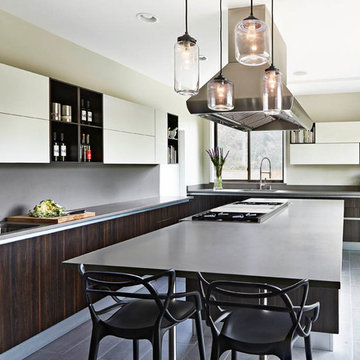 Michigan Modern