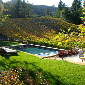 Water in the Garden