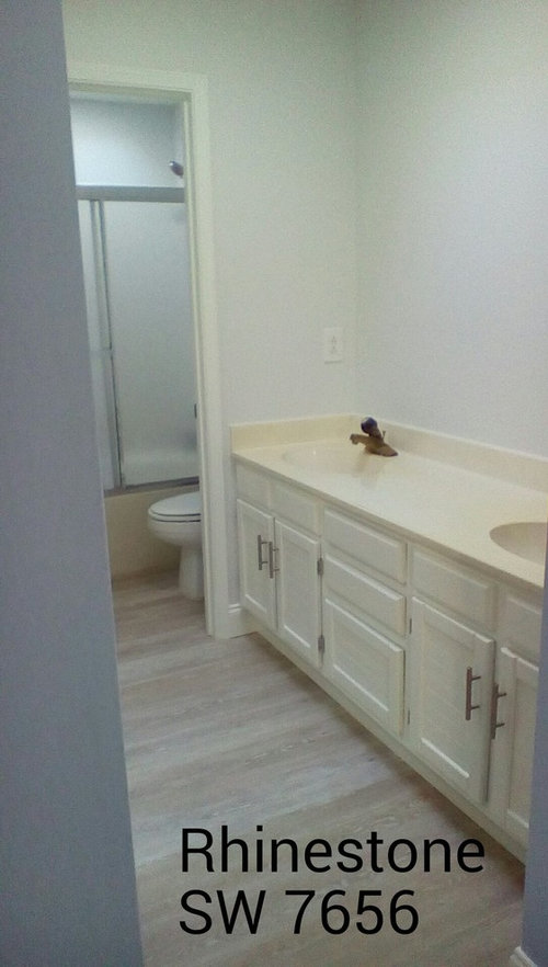 Bathroom painted Rhinestone SW 7656