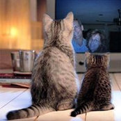 Donna Dolinky's photo