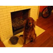 David Whatley's photo