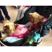 Linda Uithoven's photo