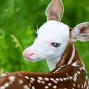 Jennifer Murphy's photo
