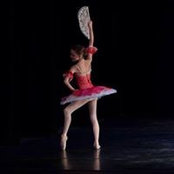 Jan Rousse's photo