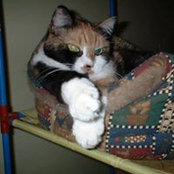 Gladys Suarez's photo
