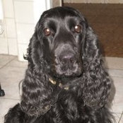 Sandro Santucci's photo