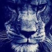 Kade Powers's photo