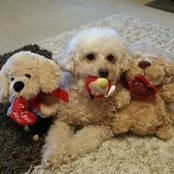 Tina Wilcox's photo