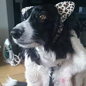 Foto von Marjo Mzb