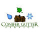 Conifer Gutter Service
