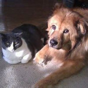 Jane Guarino's photo