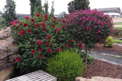 Design ideas for a traditional full sun front yard gravel landscaping in Other for summer.
