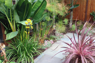 Design ideas for a mid-sized tropical backyard full sun garden in San Francisco with a garden path and natural stone pavers.