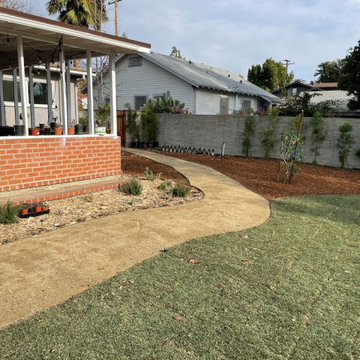 Backyard Design and Install