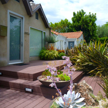 West Hollywood Container Garden