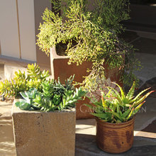 containers garden BF Grilling 2014