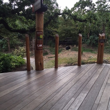 Houston TX Zoo- Ipe