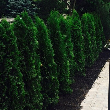 N.L.O.L.C. Landscape-Masonry Construction Company