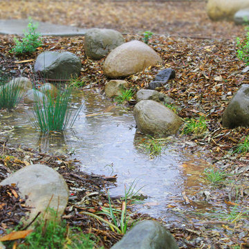 Bioswales