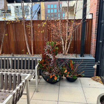 Williamsburg terrace