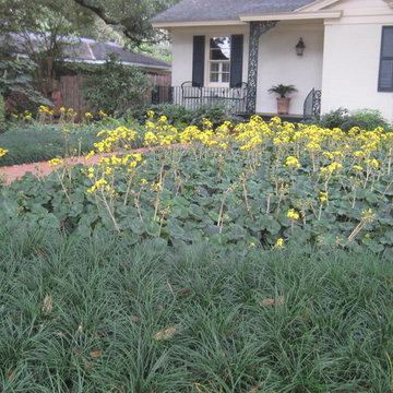Gorgeous Ground Covers