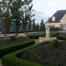 shelleymmm's ideas for Eds Landscape