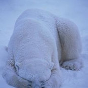 Stephen Renton's photo