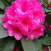 Nanette Mecham's photo
