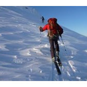 Tom Roozendaal's photo