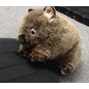 Hiroko Yamanaka's photo