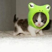Shahale Irene's photo