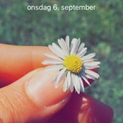 Foto von Njbir Mohammad
