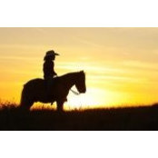 Darcy Delaney's photo