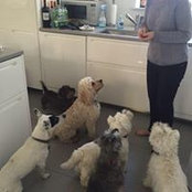 Lauren Taylor's photo