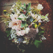 Jennifer Rossi's photo