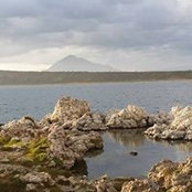 Gilberto Gaspar's photo