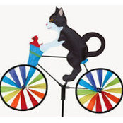 Nancy Fischer's photo