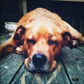 Cara Krasney's photo