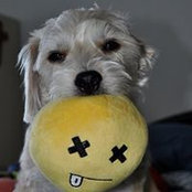 Susan Moore's photo