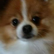 Christine Robbins's photo