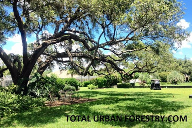 Inspiration for a landscaping in Orlando.