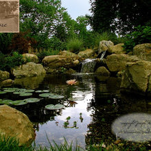 pond