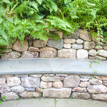 Stone Bench with Ferns