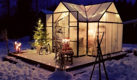 Mellandagsmys i växthuset – i minus -26°