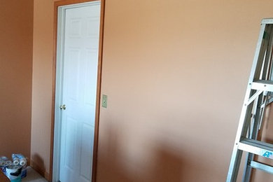 Bedroom Repaint - (walls and ceiling)