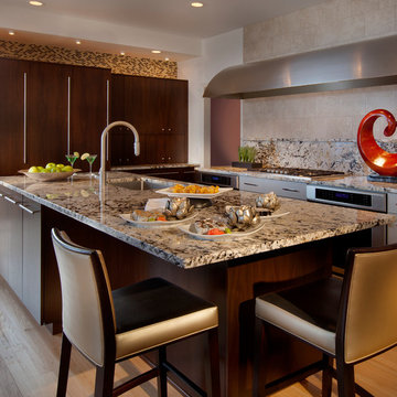 Contemporary Kitchen/Dining Area