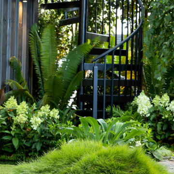 Melbourne International Flower & Garden Show 202- The Container Garden